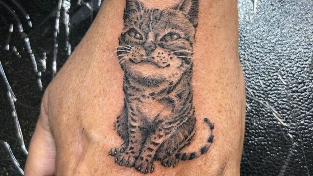 #substancetattoo #tattoo #tatouages #moderntattoo #peppershading #whipshading #3rl #europeantattoo #frenchtattoo #cattattoo #handtattoo #classicaltattoo #classicaldrawing #tattoostudio #tattooartist