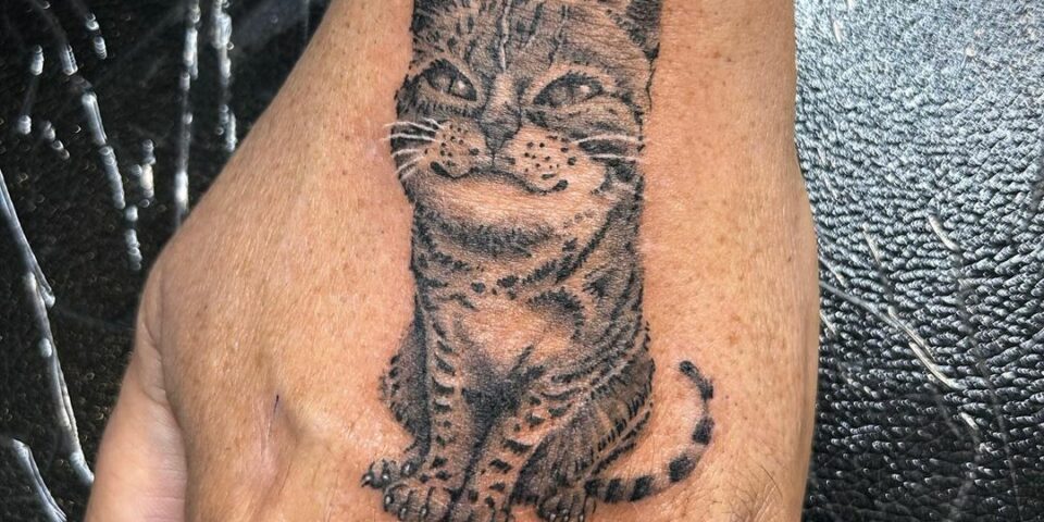 #substancetattoo #tattoo #tatouages #moderntattoo #peppershading #whipshading #3rl #europeantattoo #frenchtattoo #cattattoo #handtattoo #classicaltattoo #classicaldrawing #tattoostudio #tattooartist