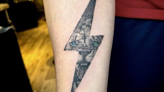 #substancetattoo #tattoo #tatouages #moderntattoo #peppershading #whipshading #3rl #europeantattoo #frenchtattoo #liontattoo #howtotattoo #classicaltattoo #classicaldrawing #tattoostudio #tattooartist