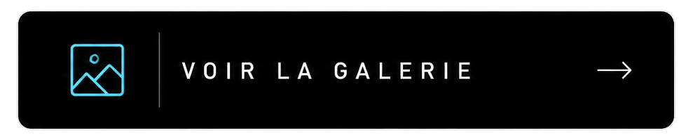 bouton galerie